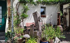 Gartenzimmer Mit Strassenbahn Zu Dom Und Messe
